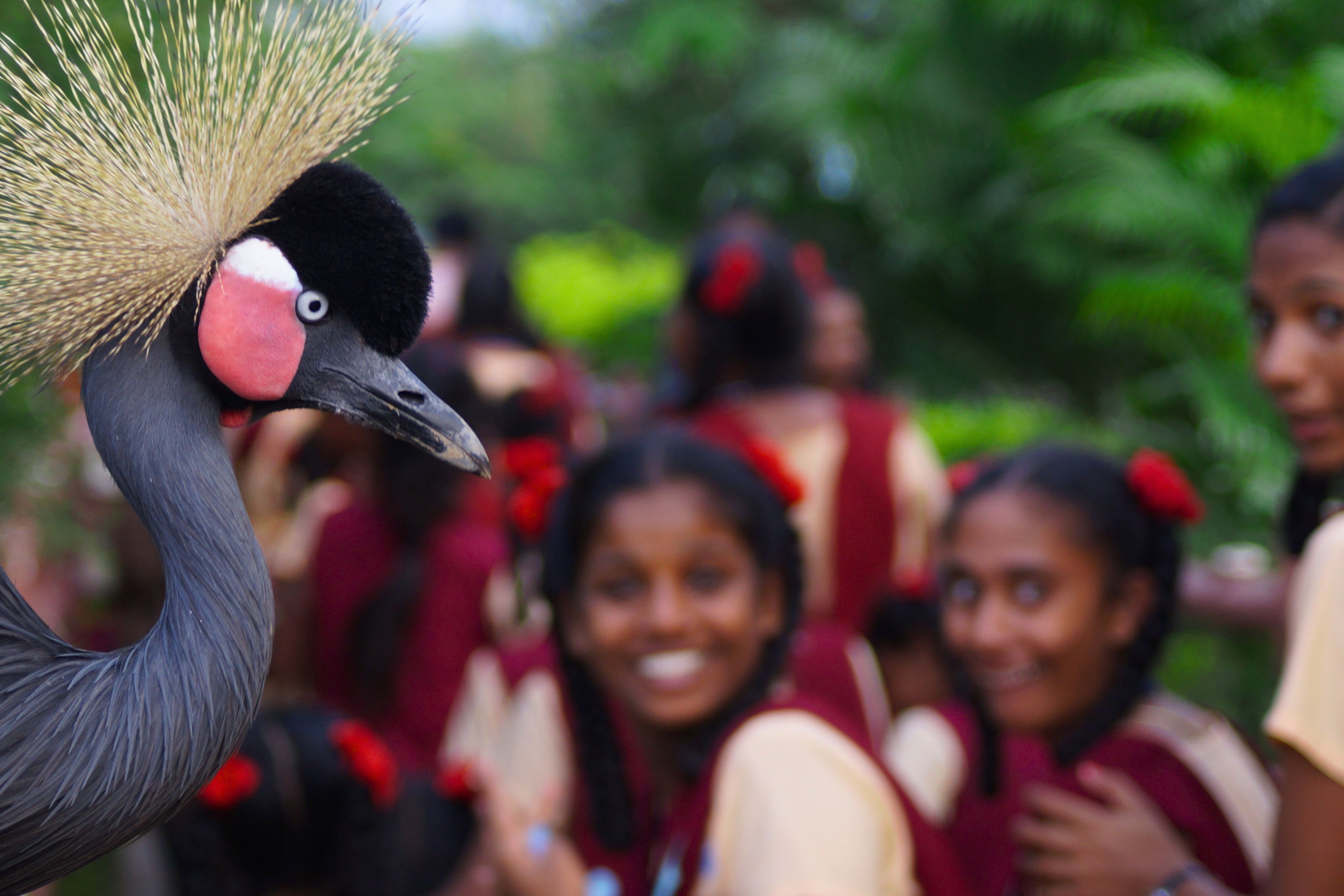 Empowering Tomorrow's Conservationists